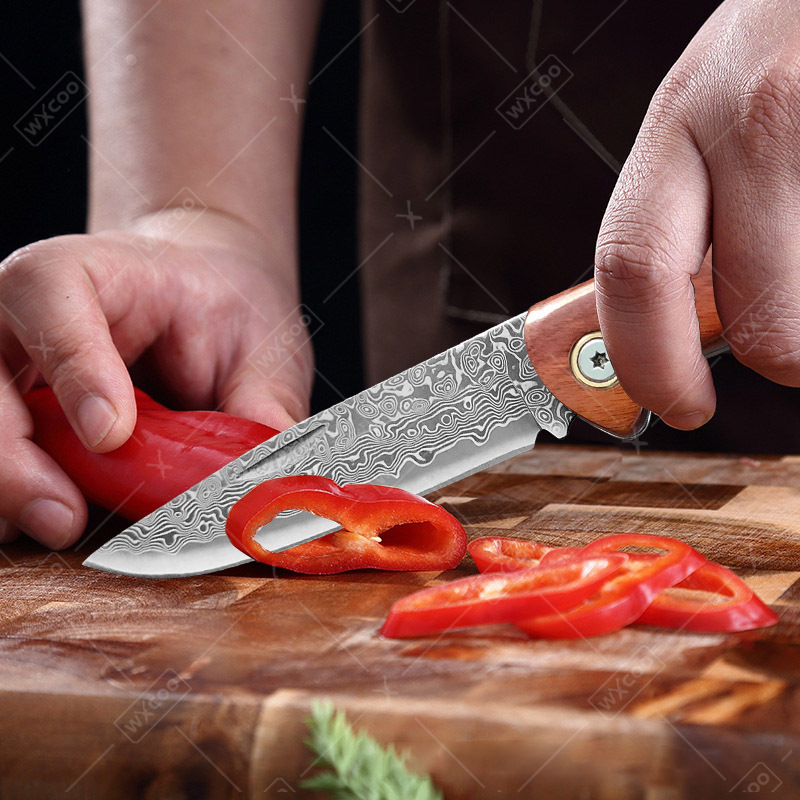 Couteau pliant WXCOO, couteau  - Camping Cooking Knives avis et prix
